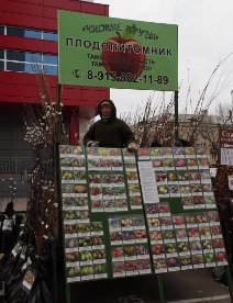 Место продажи саженцев в Тамбове - плодовый питомник Чистые пруды